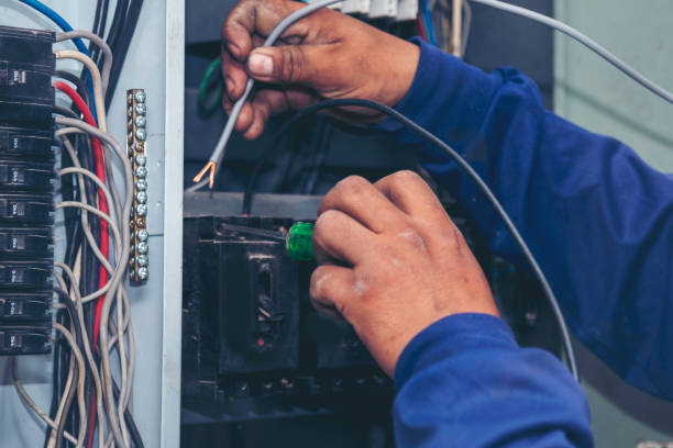 Best Ceiling Fan Installation Electrician  in Percy, IL