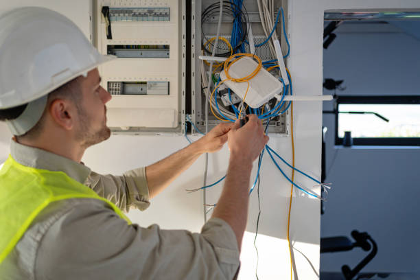 Best Electrical System Inspection  in Percy, IL